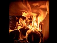 Bien démarrer son feu de bois